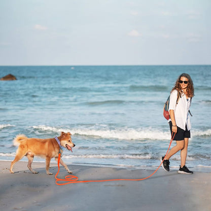 Longe-Pour-Chien-longue-orange