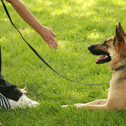 Longe-pour-chien-entrainement-pvc