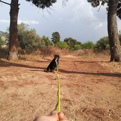 Longe-pour-chien-investissement-pvc