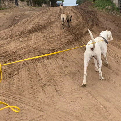 Longe-pour-chien-securite-pvc