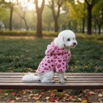 Manteau chien leopard rose assis sur un banc de parc
