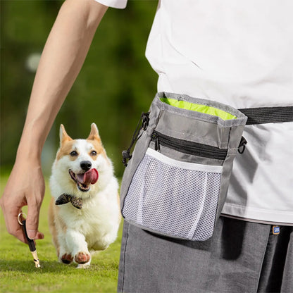 Pochette-Friandises-Pour-Chien-grise