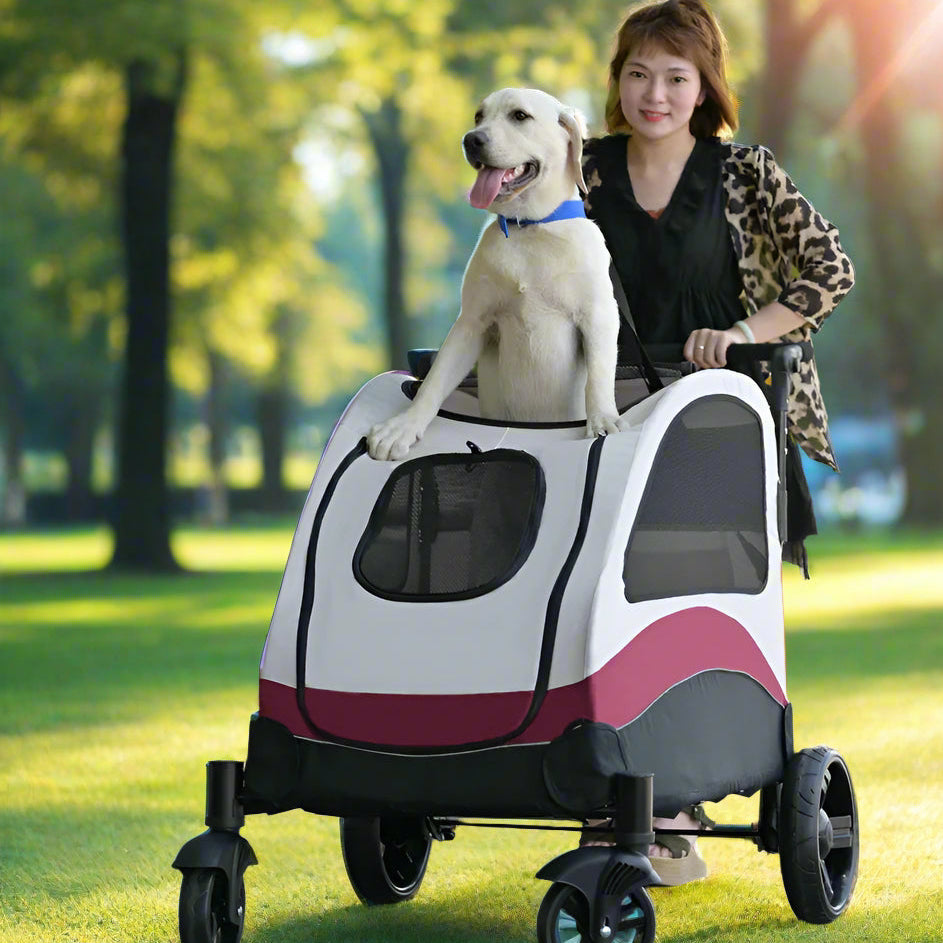 Poussette-Chien-Air-frais