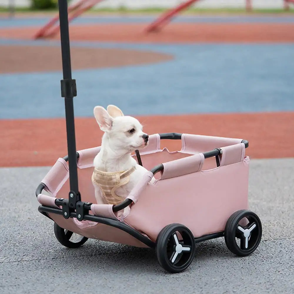 Poussette-Chien-balade