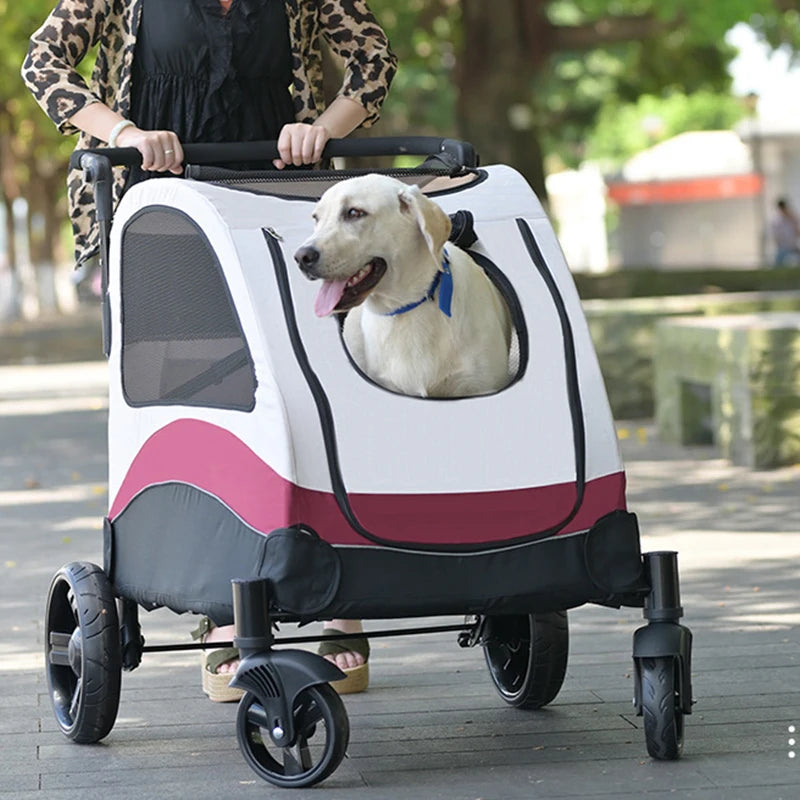 Poussette-Chien-fenetre