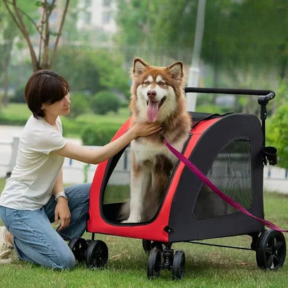 Poussette-a-Chien-Parc