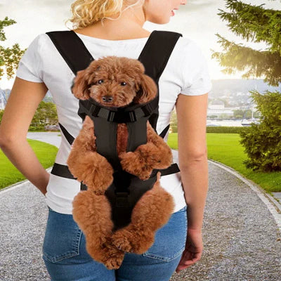 SAC-A-DOS-POUR-CHIEN-securite
