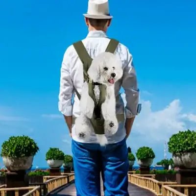 SAC-A-DOS-POUR-CHIEN-uniques