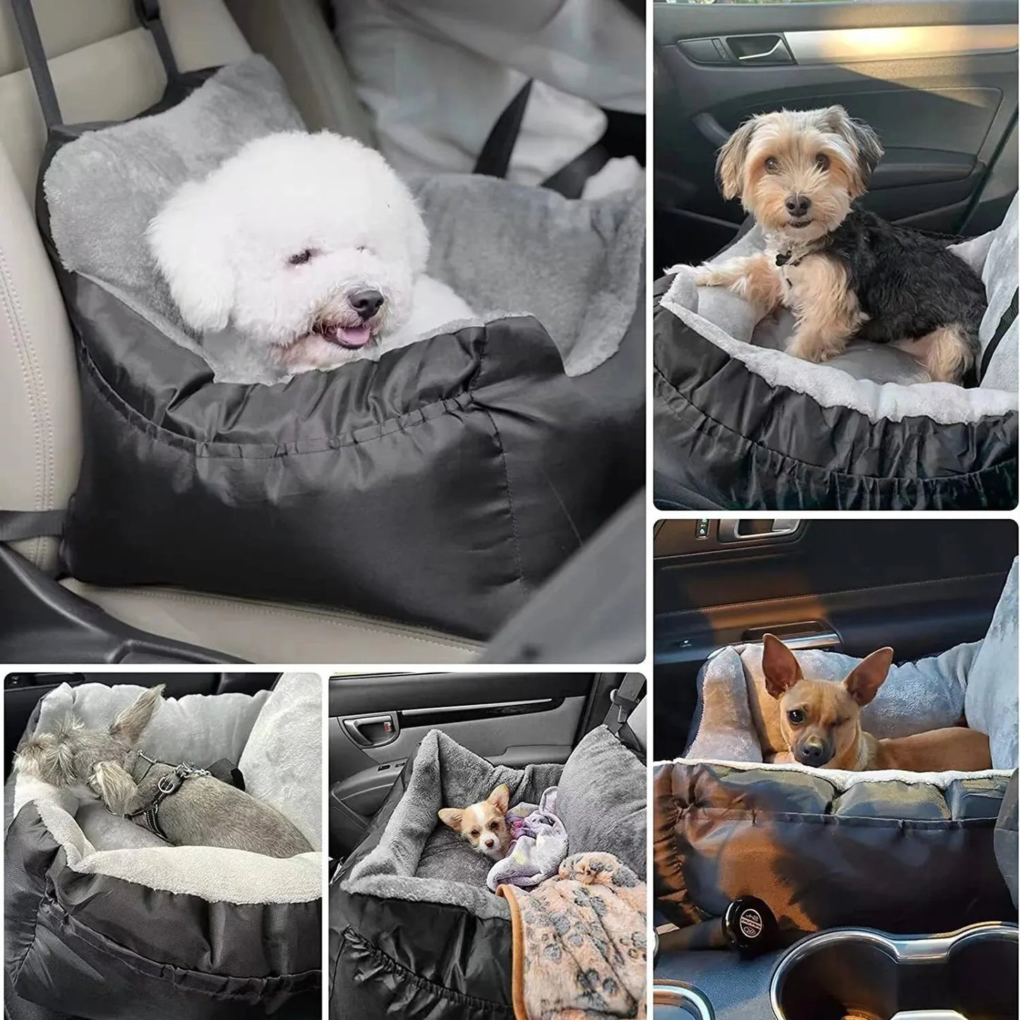 SIEGE-AUTO-POUR-CHIEN-detentes