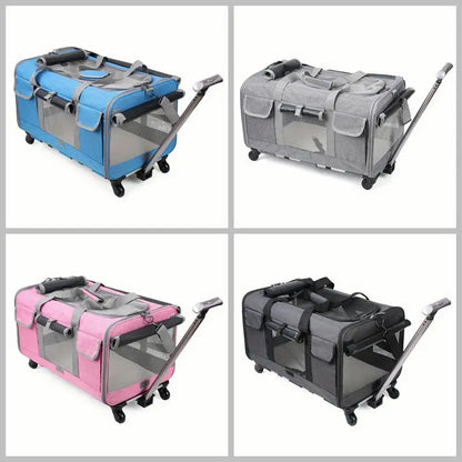 Sac-de-Transport-Chien-couleur