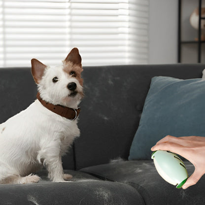 brosse-anti-poil-chien-sofa