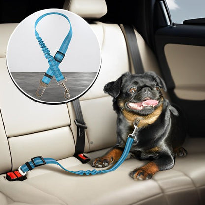 ceinture-de-securite-pour-chien-bleu