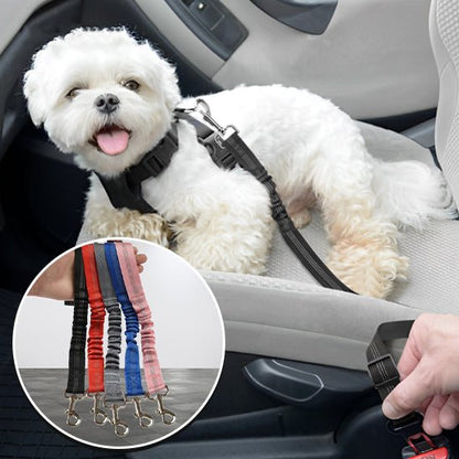 ceinture-de-securite-pour-chien-couleur