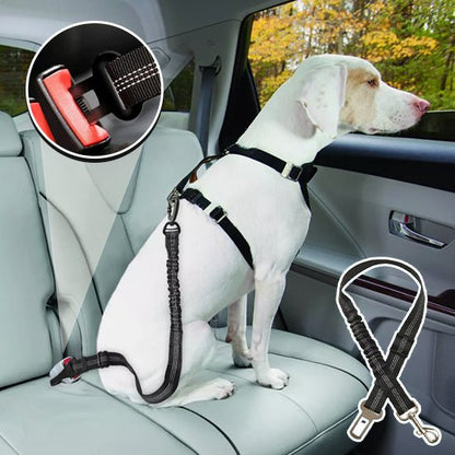 ceinture-de-securite-pour-chien-noire