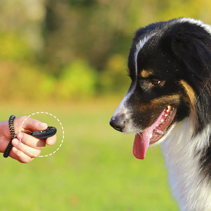 clicker-chien-noir