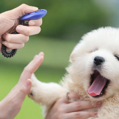 clicker-chien-renforcement-positif-bleu