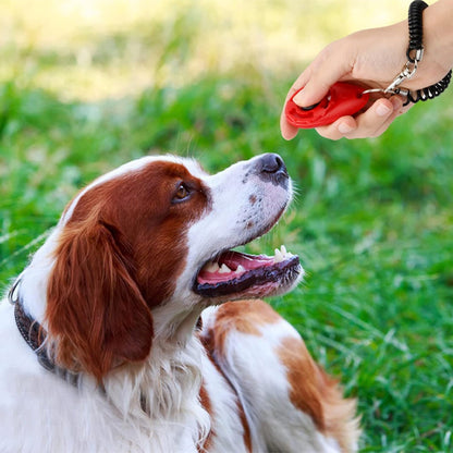 clicker-chien-rouge