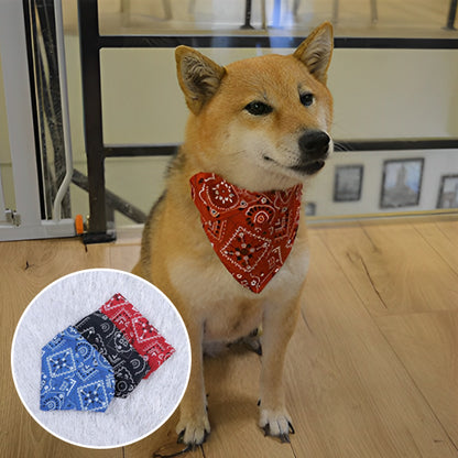 collier-pour-chien-accessoires