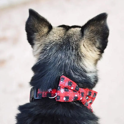 collier-pour-chien-boucle-festive