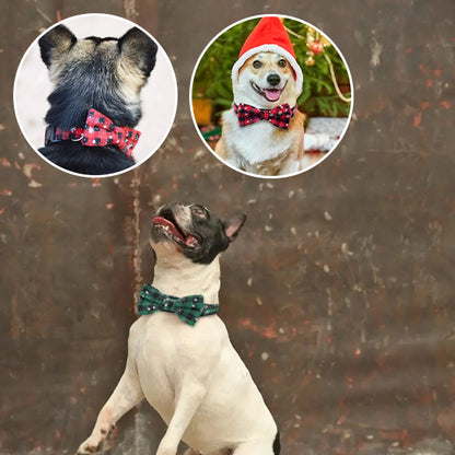 collier-pour-chien-boucle-noel