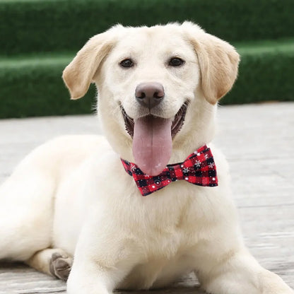 collier-pour-chien-boucle-rouge