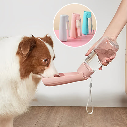 gourde-pour-chien-transparente-couleurs
