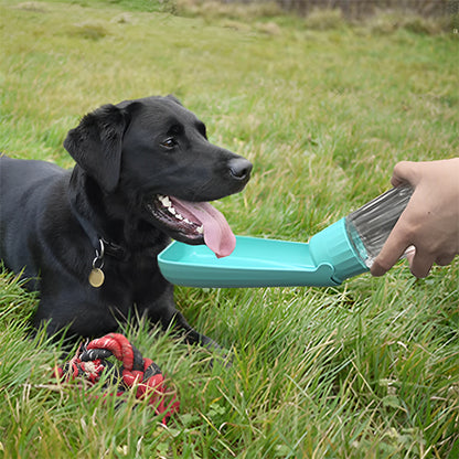gourde-pour-chien-transparente-utilisation