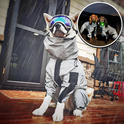 imperméable-chien-visibilite