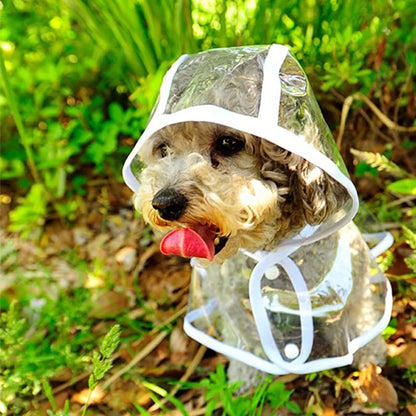 Imperméable-pour-chien-taille-et-style