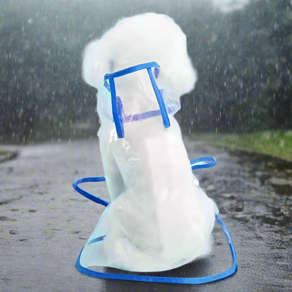 imperméable-pour-chien-transparant-bleu