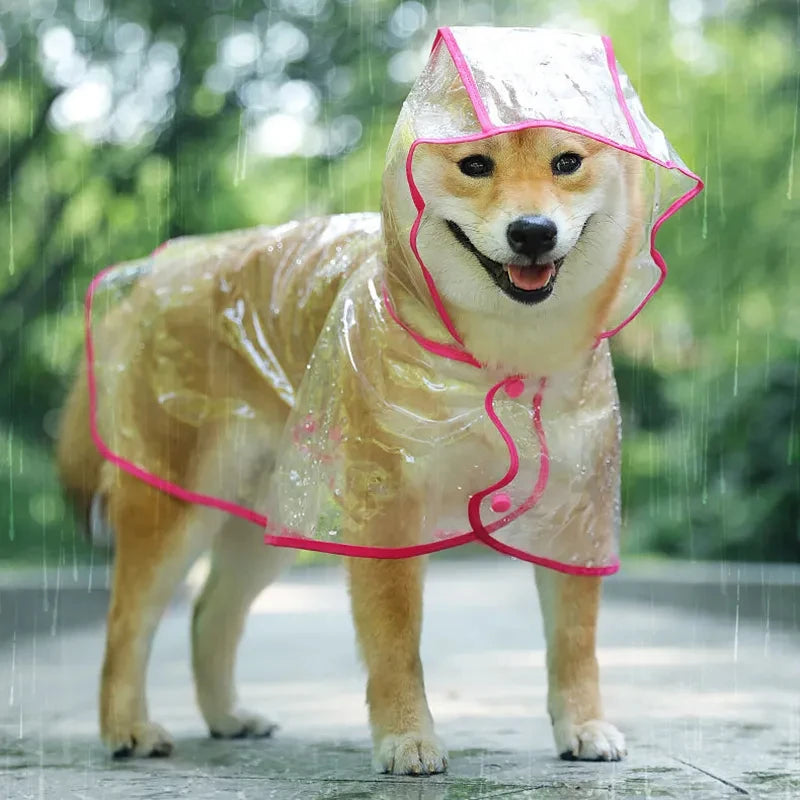 imperméable-pour-chien-transparant-rose