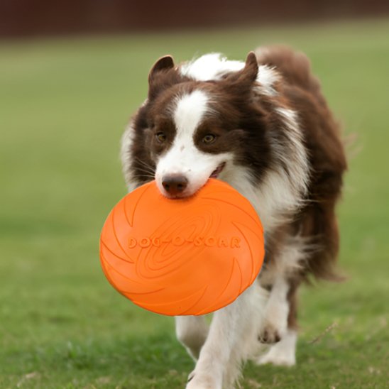 Jouet chien frisbee ORANGE