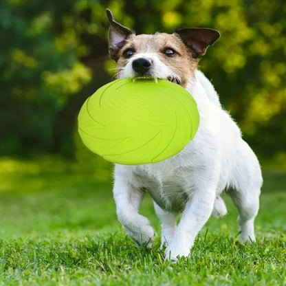 Jouet chien frisbee vert lime