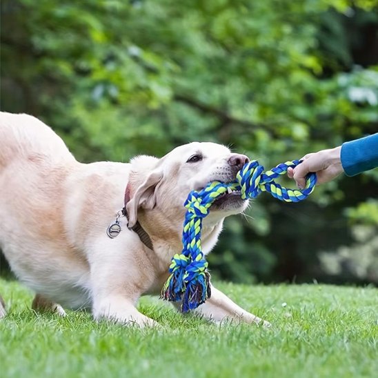 Jouet chien indestructible avec son maitre