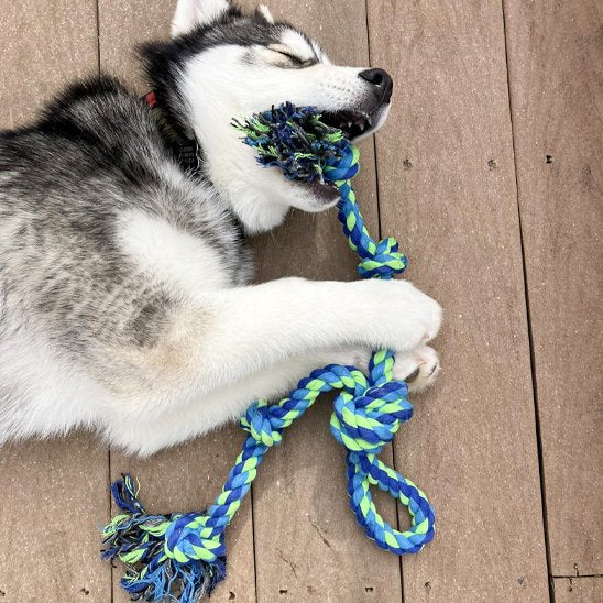 Jouet chien indestructible sur le balcon