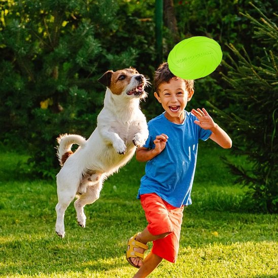 Jouet chien qui joue avec frisbee