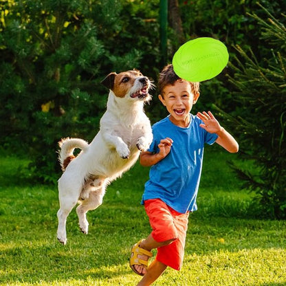 Jouet chien qui joue avec frisbee