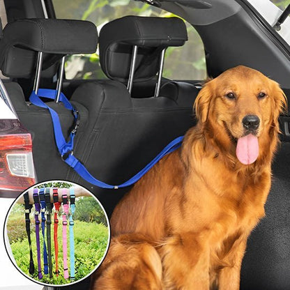 laisse-pour-chien-Multis