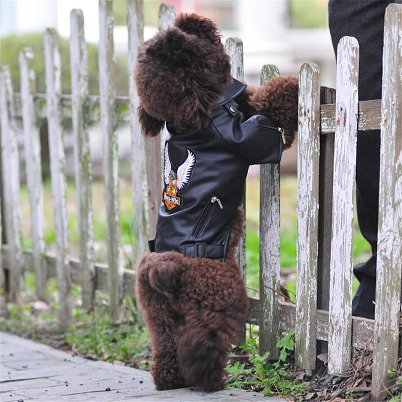 manteau-pour-chien-ajuster
