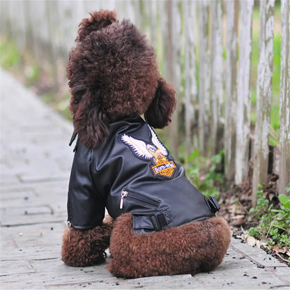 manteau-pour-chien-confortables
