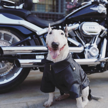 manteau-pour-chien-motard