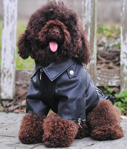 manteau-pour-chien-polyvalences