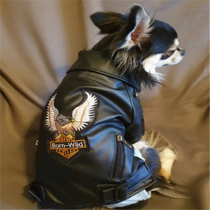 manteau-pour-chien-styles