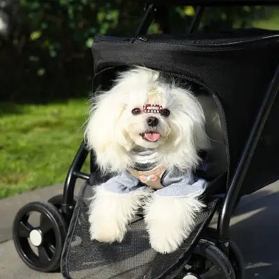 poussette-pour-chien-petstroller-chiots