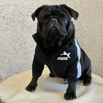 pull-pour-chien-baseball-confortable