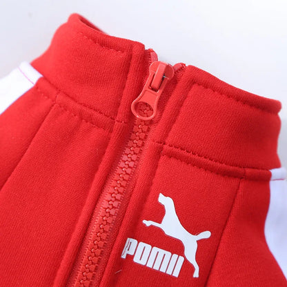 pull-pour-chien-baseball-fermeture-eclair