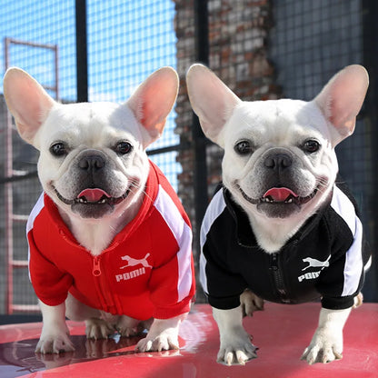 pull-pour-chien-baseball-rouge-noir