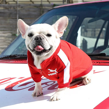 pull-pour-chien-baseball-star