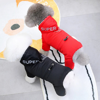 vetement-chien-imper