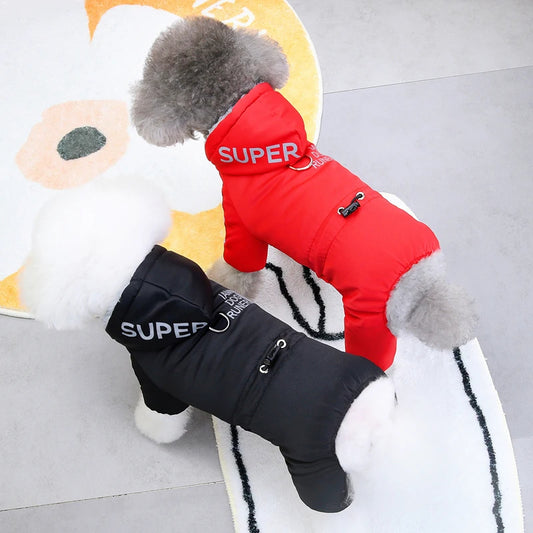 vetement-chien-imper